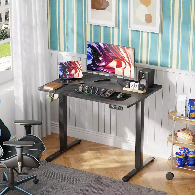 BestMassage Electric Standing Desk Adjustable Height Computer Desk Office Desk