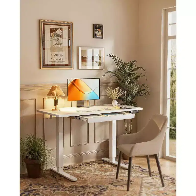 ErGear Electric Standing Desk with Drawers, 48X24 Height Adjustable Desk with 4 Preset, Home Office Computer Table, White