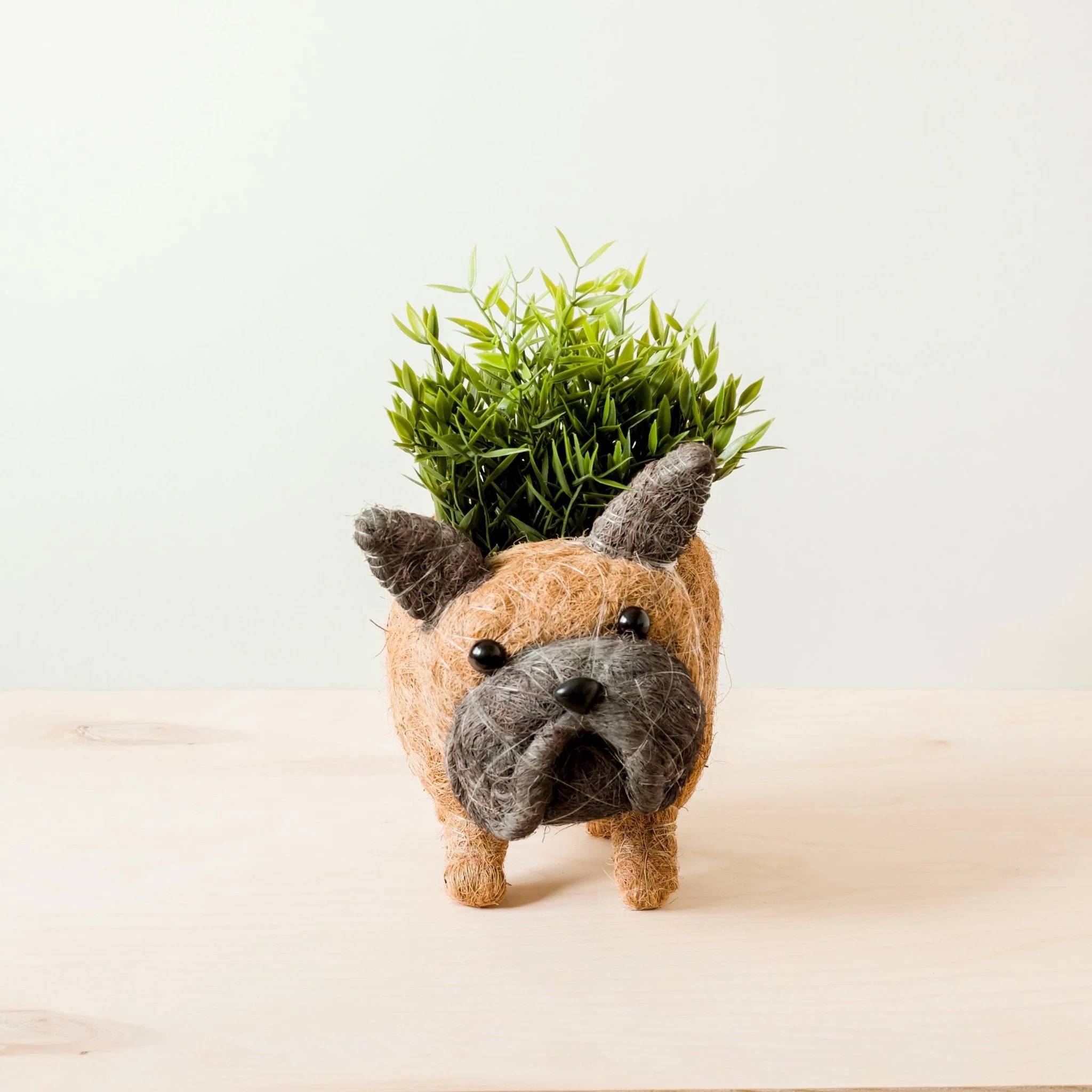 French Bulldog Planter - Coco Coir Pots