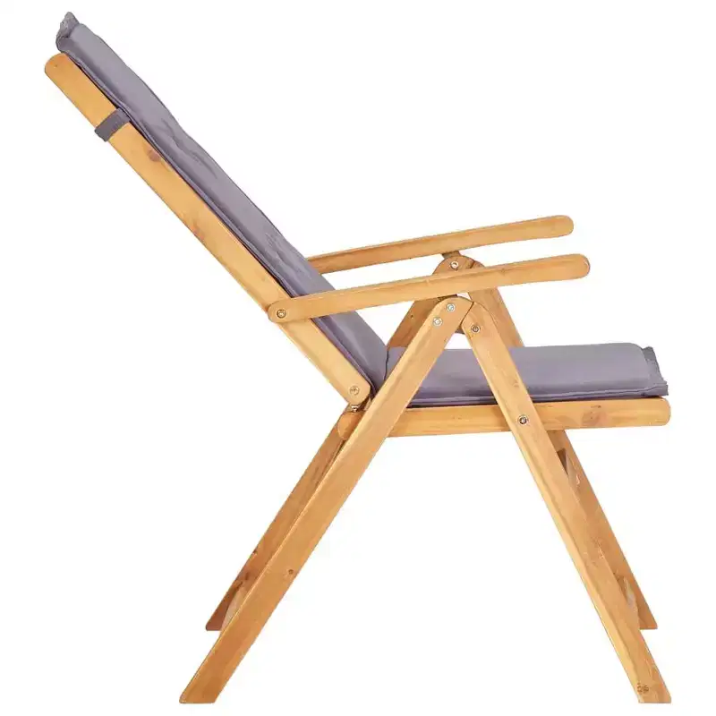 vidaXL Garden Chair Set of 2 Dark grey