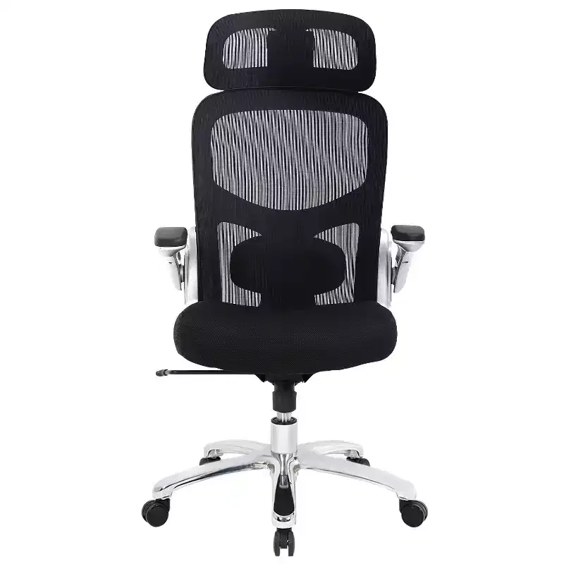 Big and Tall High Back Ergonomic Mesh Office Chair with Lumbar Support, Flip-Up Arms & Headrest, Black