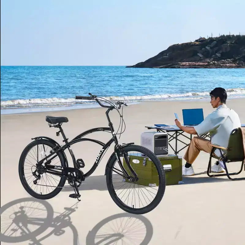 Whisen 26 Adult Outdoor Bikes with Steel Frame Low Swooping Frame, 7-Speed Gear, Front and Rear V brakes