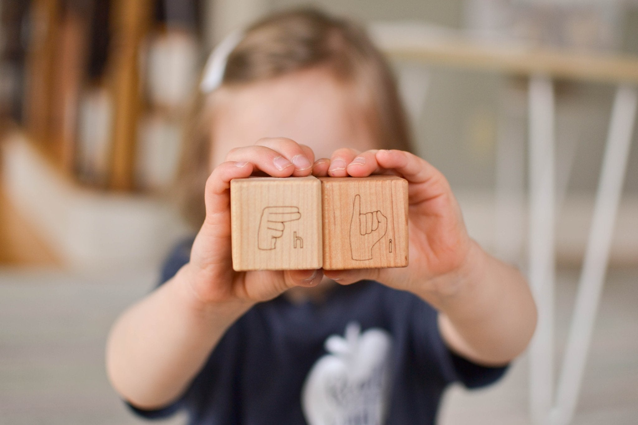 American Sign Language Blocks