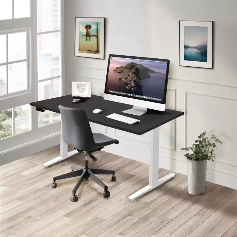 Mount-It! Dual Motor Electric Standing Desk with 55 Tabletop, White Base