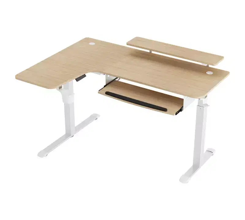 EUREKA ERGONOMIC 60x23 L Shaped Standing Desk with Accessories Set