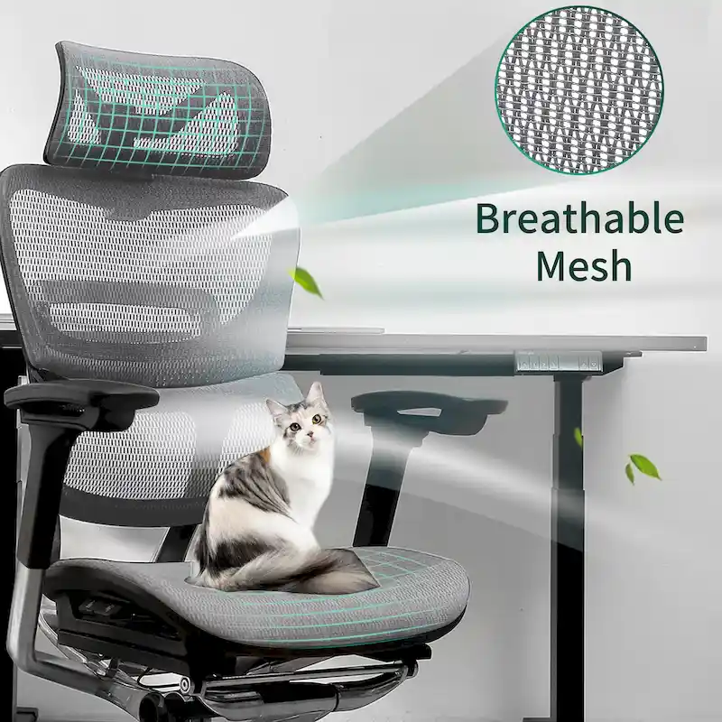 Blue / White / Grey / Brown High Back Ergonomic Mesh Office Chair with Wire Control for 1 Person
