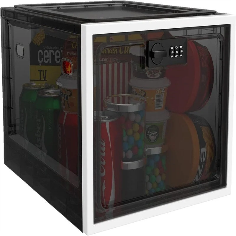Large Medicine Lock Box