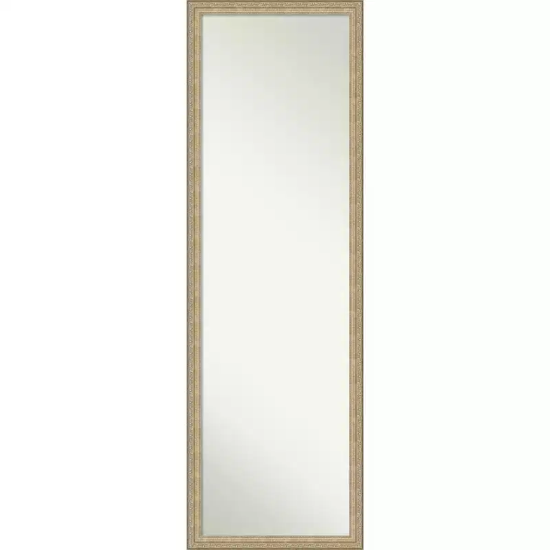 Amanti Art Paris Champagne Non-Beveled On the Door Mirror Full Length Mirror, Wall Mirror 50.25 in x 16.25 in.