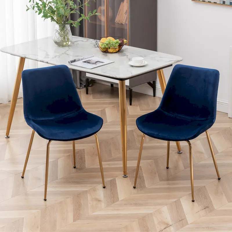 Roundhill Furniture Aufurr Modern Velvet Dining Chair (Set of 2)