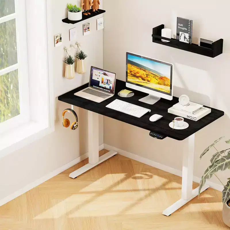 Costway Ergonomic Electric Adjustable Standing up Desk Dual Motor w/ Controller