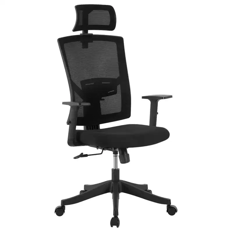 Black Ergonomic Mesh Office Chair with Adjustable Lumbar Support for Home and Office