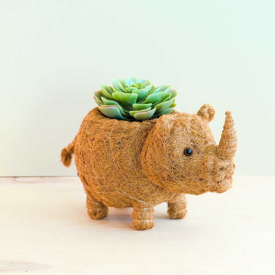 Baby Rhino Planter - Coco Coir Planter