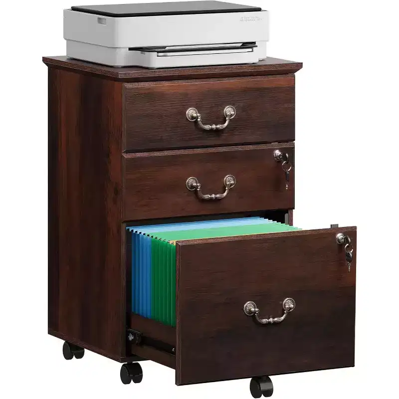 DEXYLLO File Cabinet 2-Drawer, Small Office Furniture with Lock, Rolling Under Desk Filing Cabinet for Home Office