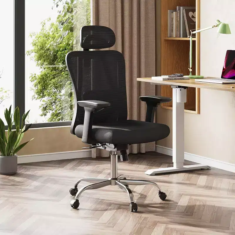 Ergonomic Mesh Desk Chair with 3D Headrest, Lumbar Support and Reclining Function