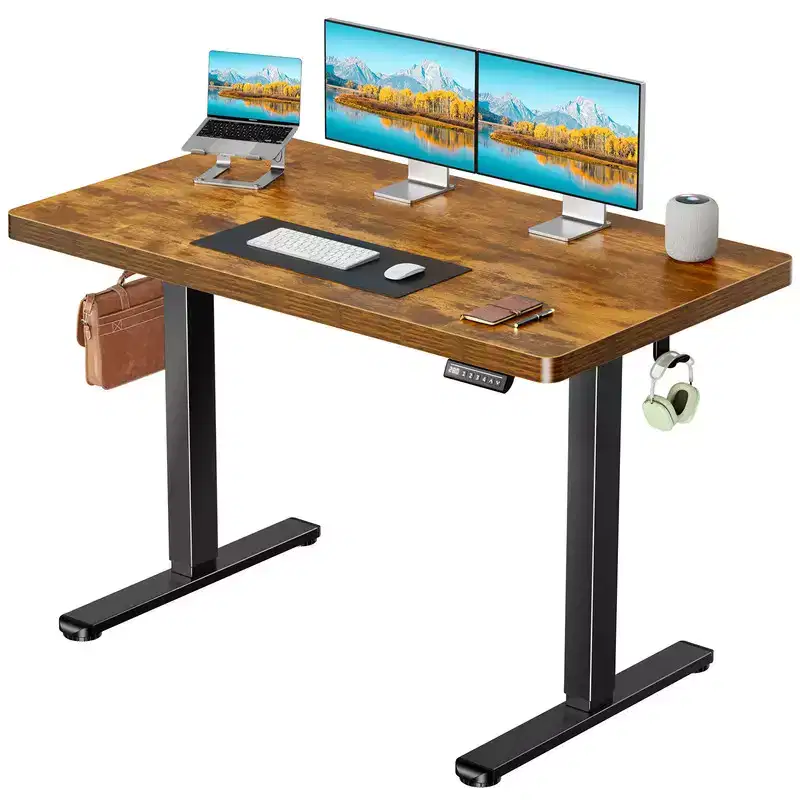 55 x 30 In Electric Standing Desk with One-Piece Desktop, Sit Stand Desk with Thickened Tabletop, Height Adjustable Stand Up Desk