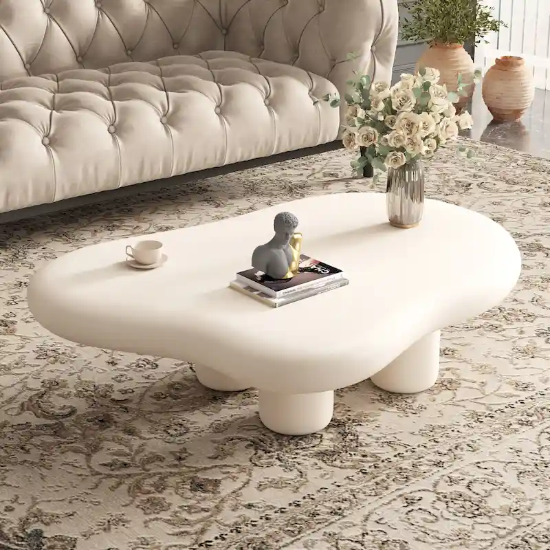 48.5 Modern Cloud Shape 4 Legs Coffee Table