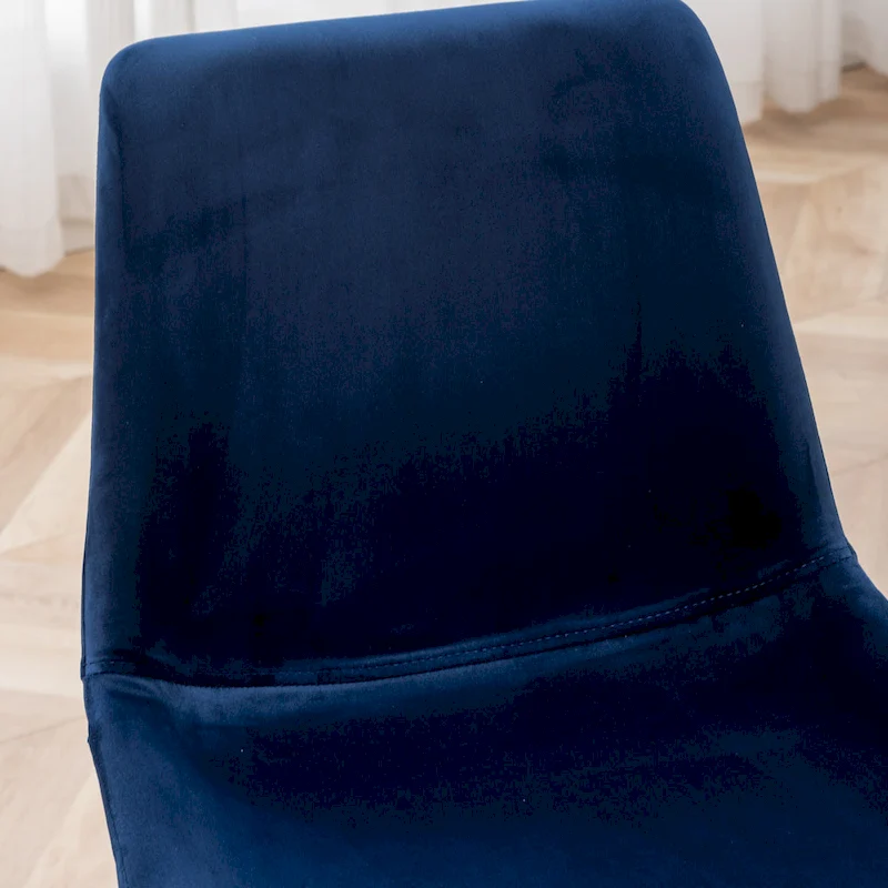 Roundhill Furniture Aufurr Modern Velvet Dining Chair (Set of 2)
