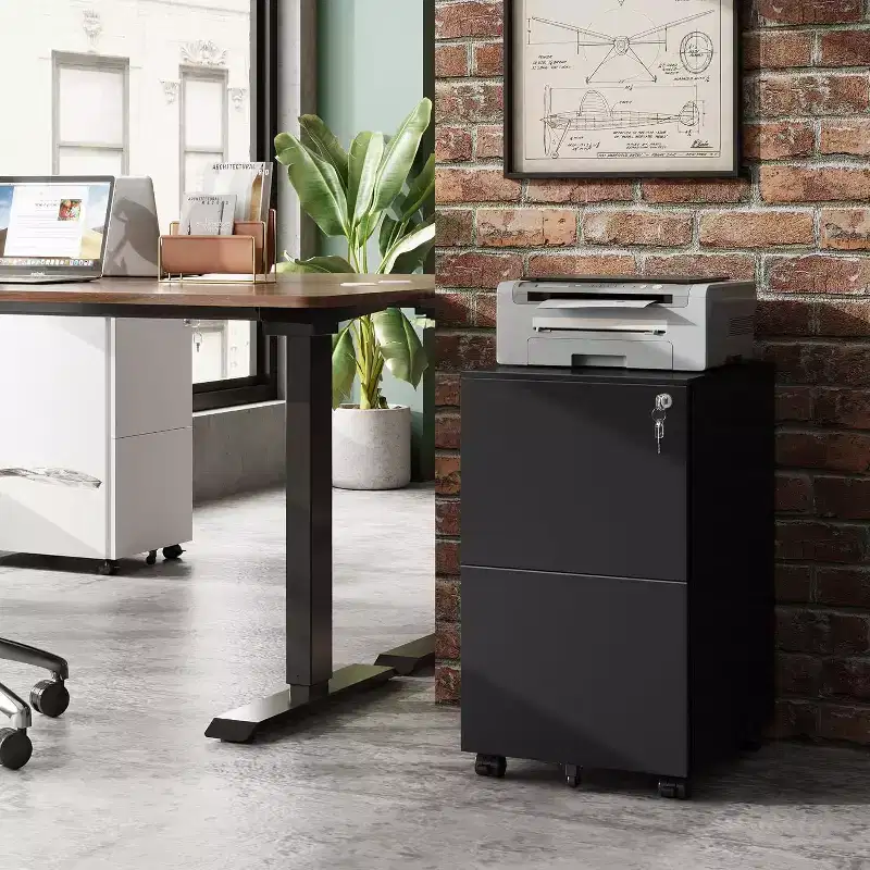 DEXYLLO 2-Drawer Mobile File Cabinet with Lock, Commercial Vertical Cabinet for Home Office,Under Desk Storage