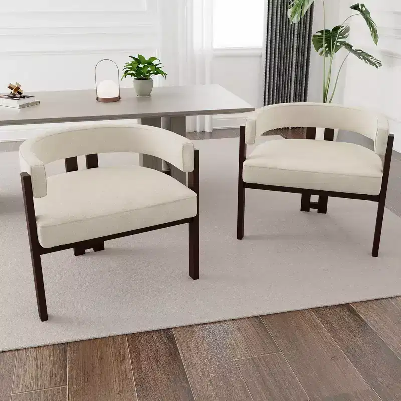 Okak Elegant Dining Chair Set of 2 Accent Chair with Teddy Cushion Dining Room Chair with Open 3 Legs for Living Room Bedroom