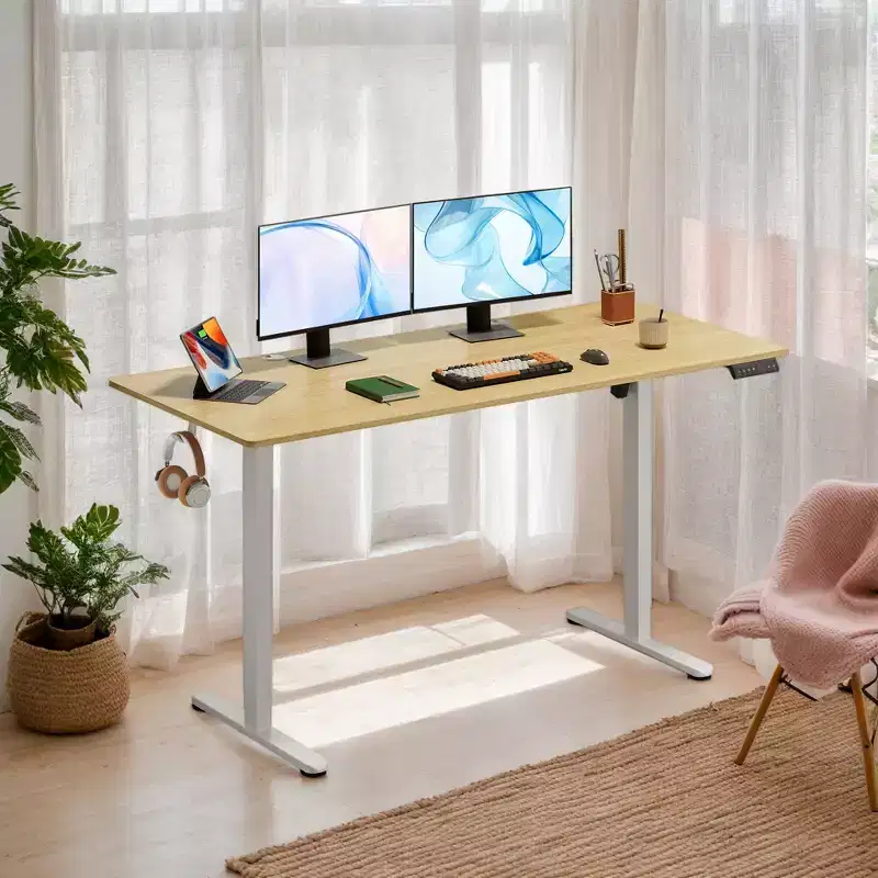 63 Electric Standing Desk - Ergonomic Sit-to-Stand Desk with LED Touchscreen, 3 Memory Presets & Hook for Home Office