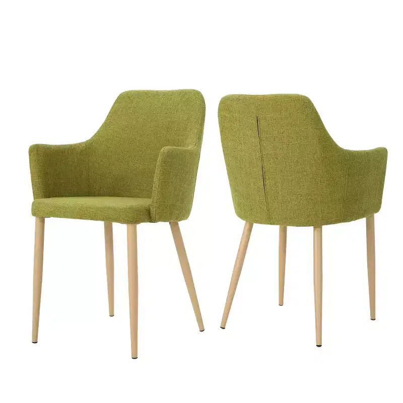 Set of 2 Zeila Mid Century Dining Chair - Christopher Knight Home
