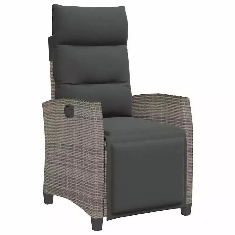 vidaXL Reclining Garden Chair PE rattan, powder-coated steel Medium