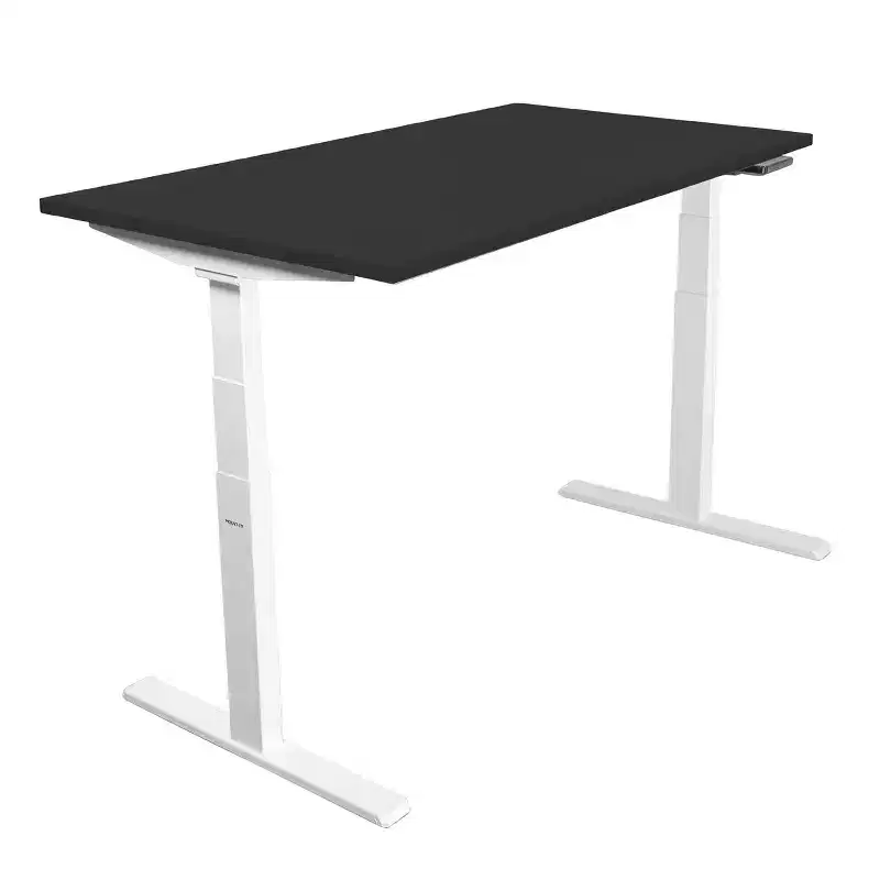 Dual Motor Electric Standing Desk with 55 Tabletop, Black & White