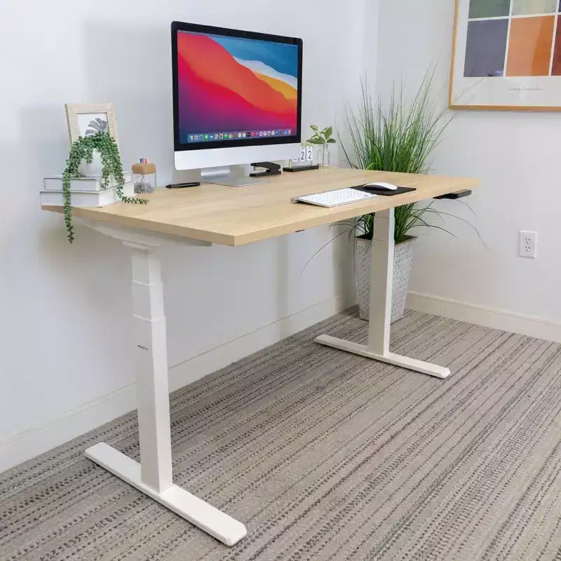 Dual Motor Electric Standing Desk with 55