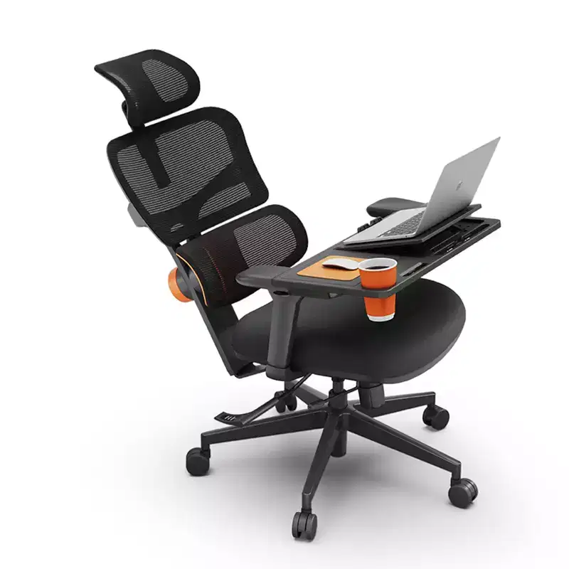 Ergonomic Desk Chair with Fully Adaptive Lumbar Support, 3D Flip-Up Armrests, Mesh Back, 300 lbs