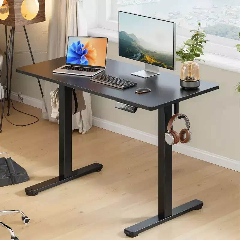 DEXYLLO 40x24 Electric Standing Desk, One-Piece Desktop with 3 Height Memory Settings, Adjustable Computer Desk for Home Office Sit-Stand