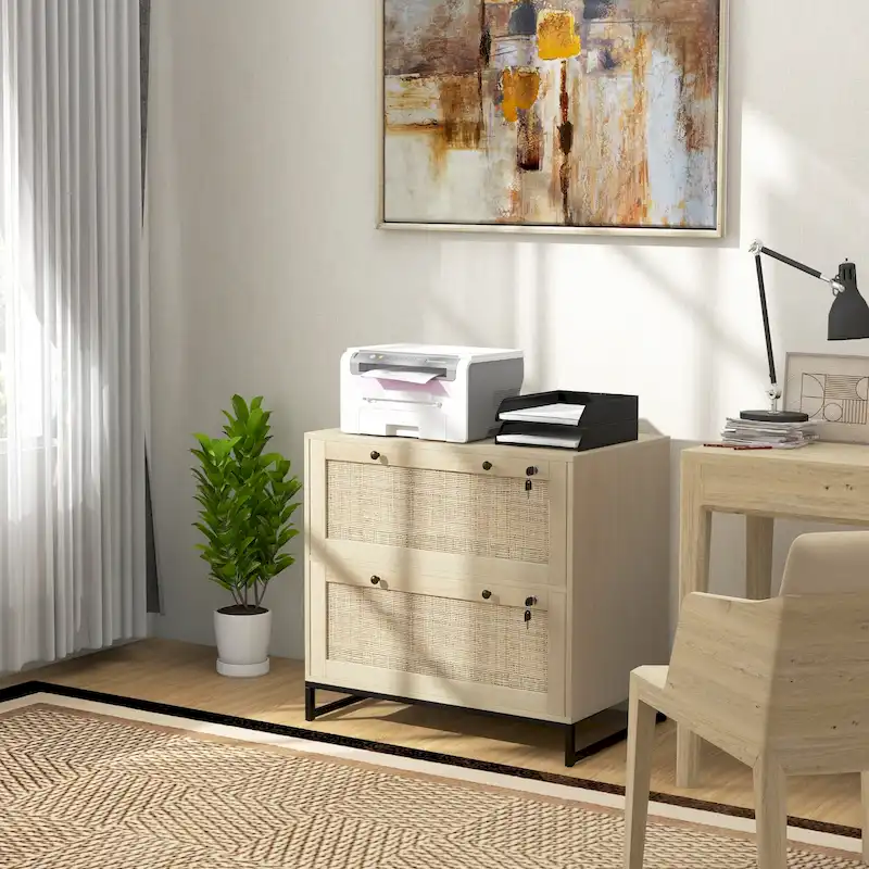 2 Drawer File Cabinet with Lock, Vertical Filing Cabinet with Keys