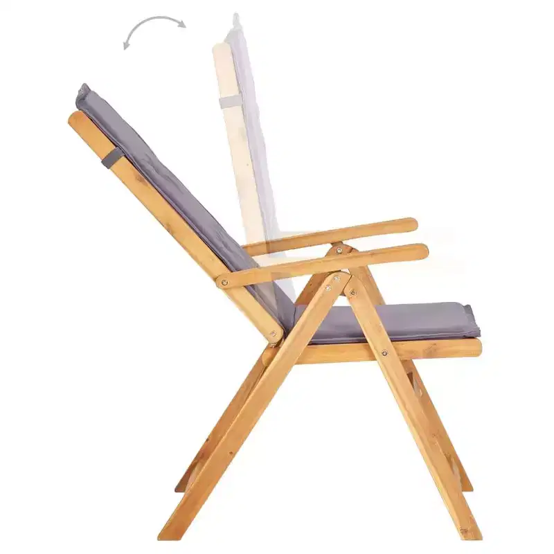 vidaXL Garden Chair Set of 2 Dark grey