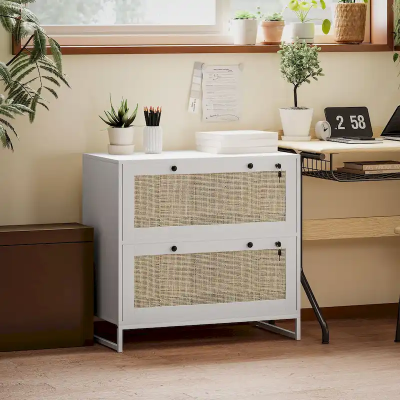 2 Drawer File Cabinet with Lock, Vertical Filing Cabinet with Keys