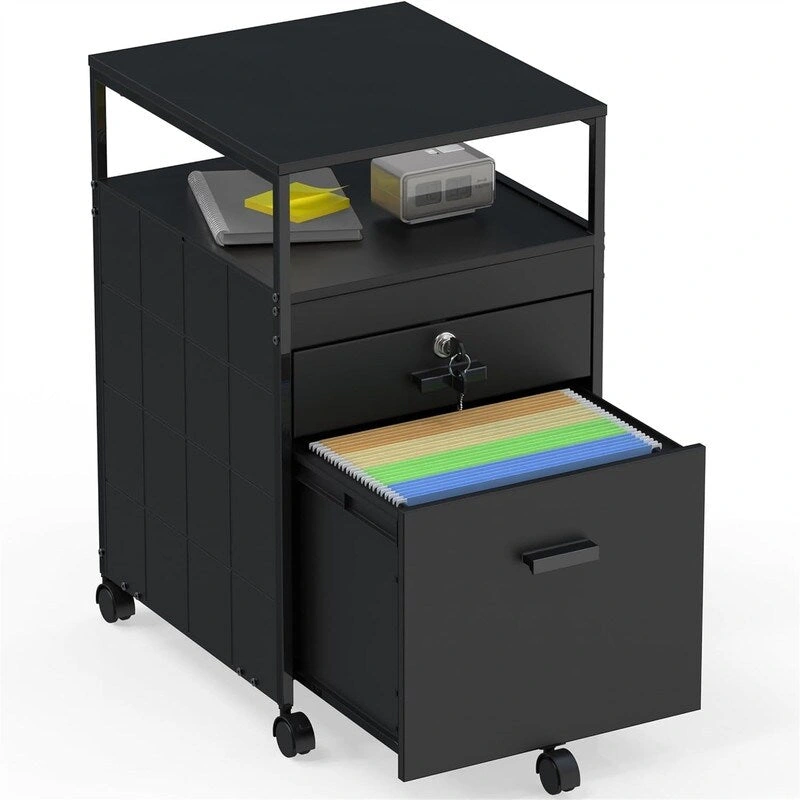 Rolling File Cabinet w/ 2 Drawers