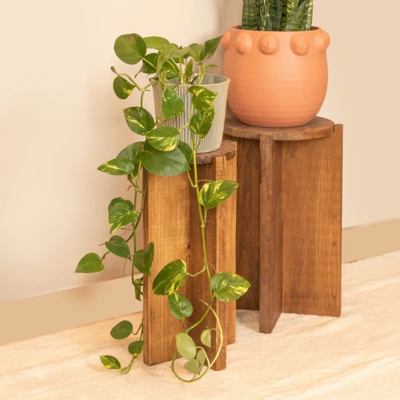 Paulownia Wood Accent Table