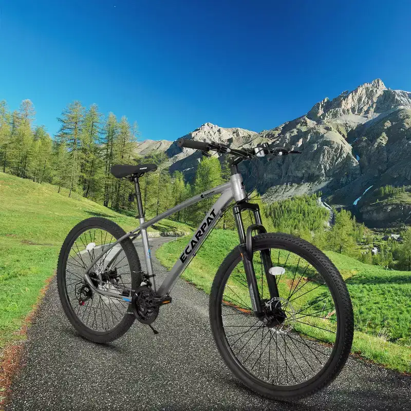Whisen 27 Inch Mountain Bike 21 Speed, Suspension Fork, Aluminum Frame Disc Brake - Gray