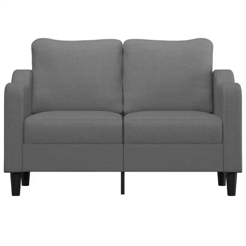 vidaXL Modern 2-Seater Sofa in Dark Grey Fabric with Metal Frame - Comfortable Padded Seating for Lounge Area or Living Room