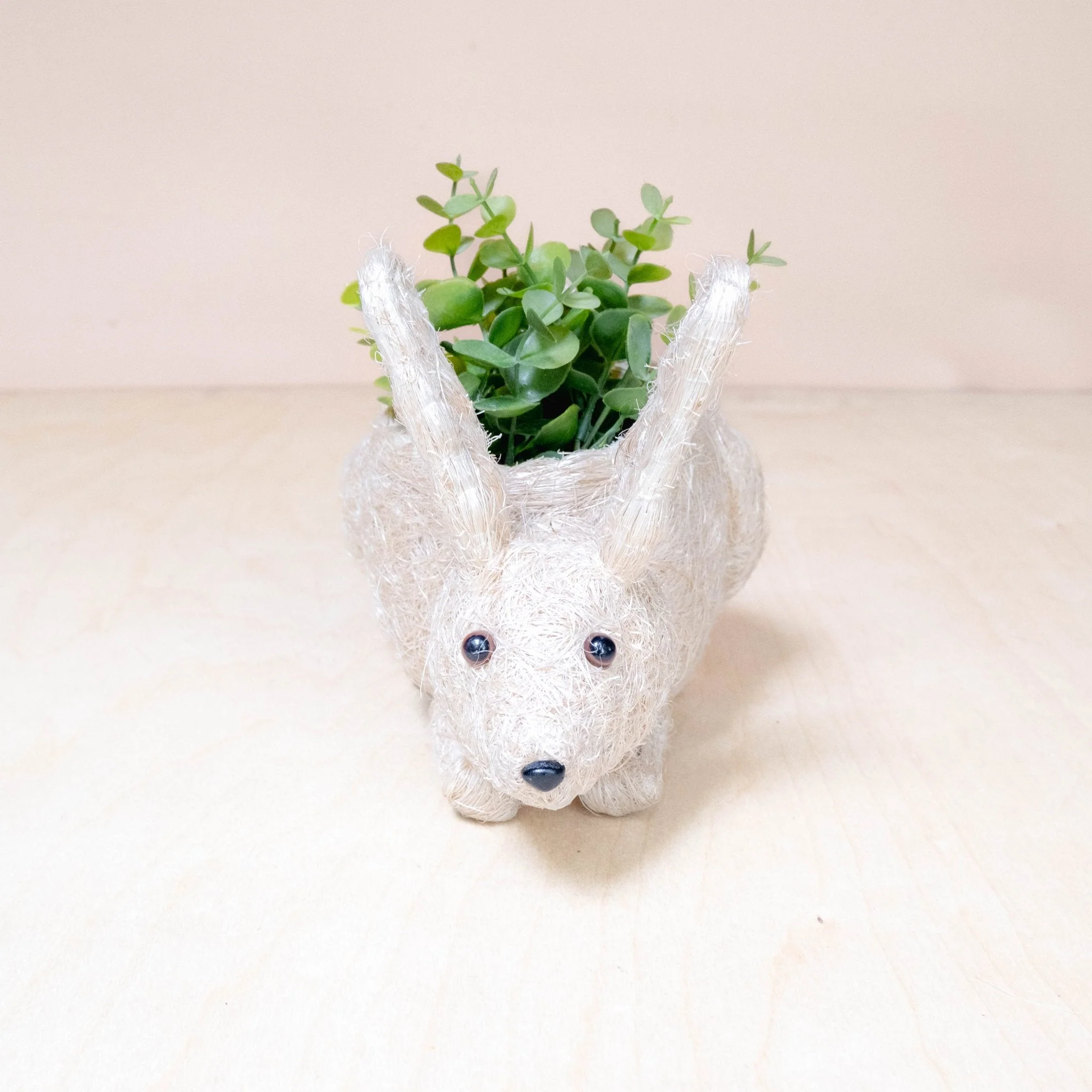 Baby Bunny Planter - Coco Coir Pots
