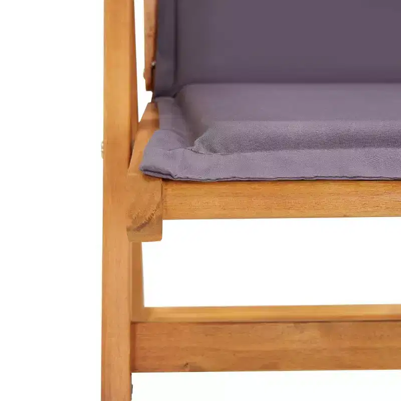 vidaXL Garden Chair Set of 2 Dark grey