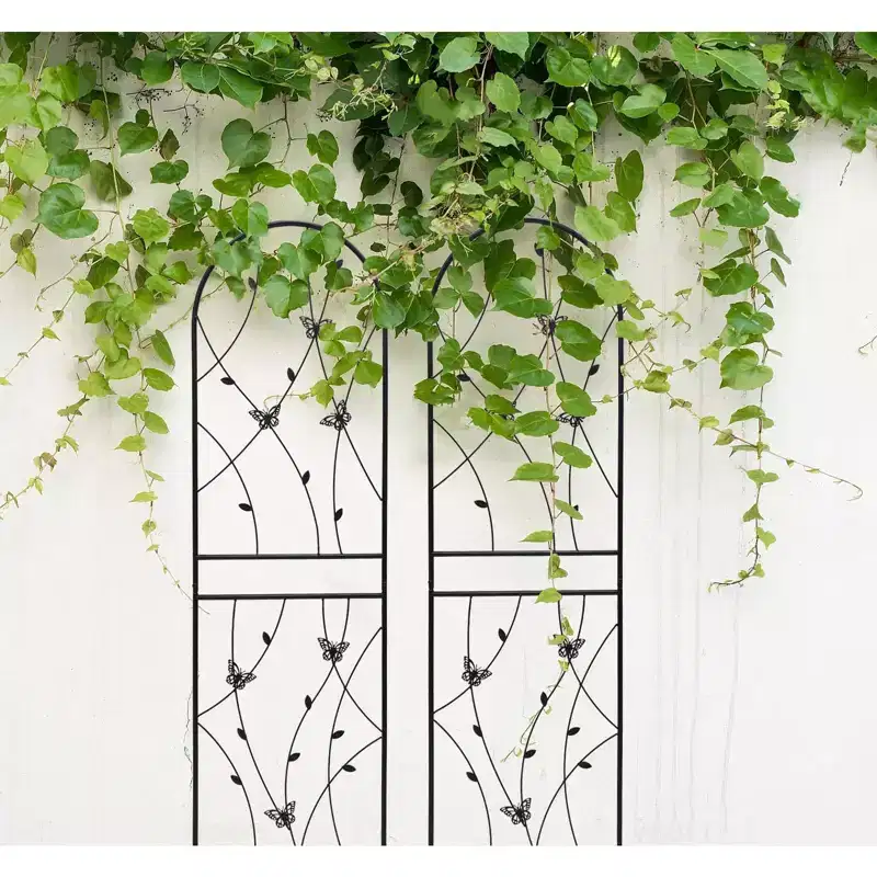 2-Pack 71x19.7in Metal Garden Trellis - Rustproof, Butterfly Decoration Black, for Outdoor Climbing Plants