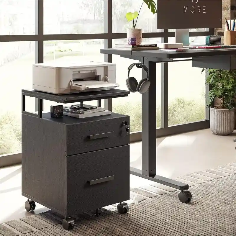2-Drawer File Cabinet with Lock for Home Office - 17D x 24.3W x 16H