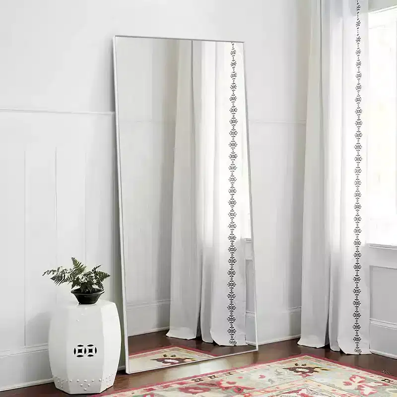 PexFix 20 in. W x 59 in. H Rectangular Metal Framed Full Length Wall Mirror Free Standing Mirror in Silver