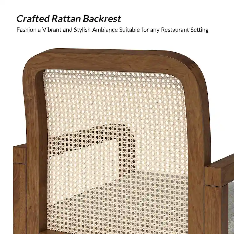 Modern Rattan Back Dining Chair with Removable Cushion | Boho Style | Set Available