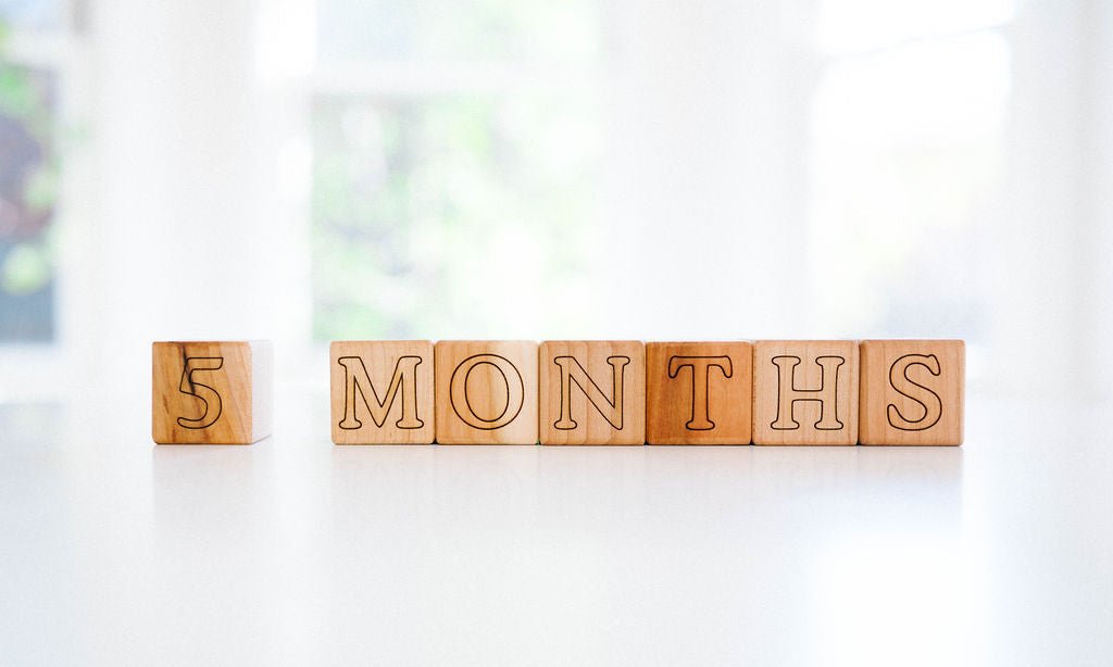 Bump & Baby Milestone Blocks