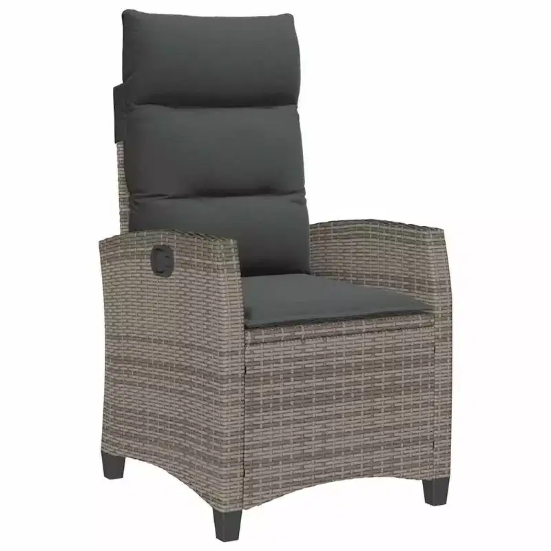 vidaXL Reclining Garden Chair PE rattan, powder-coated steel Medium