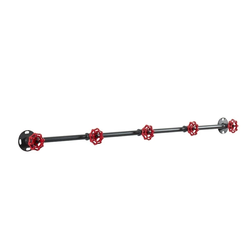 Cambria Industrial Sand Black Wall Coat Rack by Furniture of America