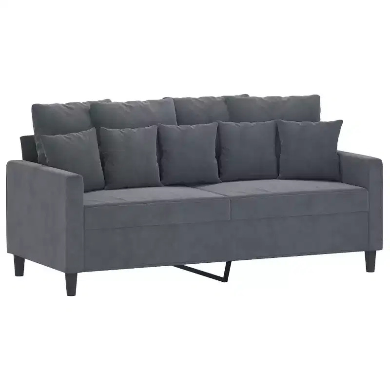 vidaXL 2-Seater Velvet Sofa  Modern Styling in Dark Gray with a Strong Metal Frame and Comfortable Seating