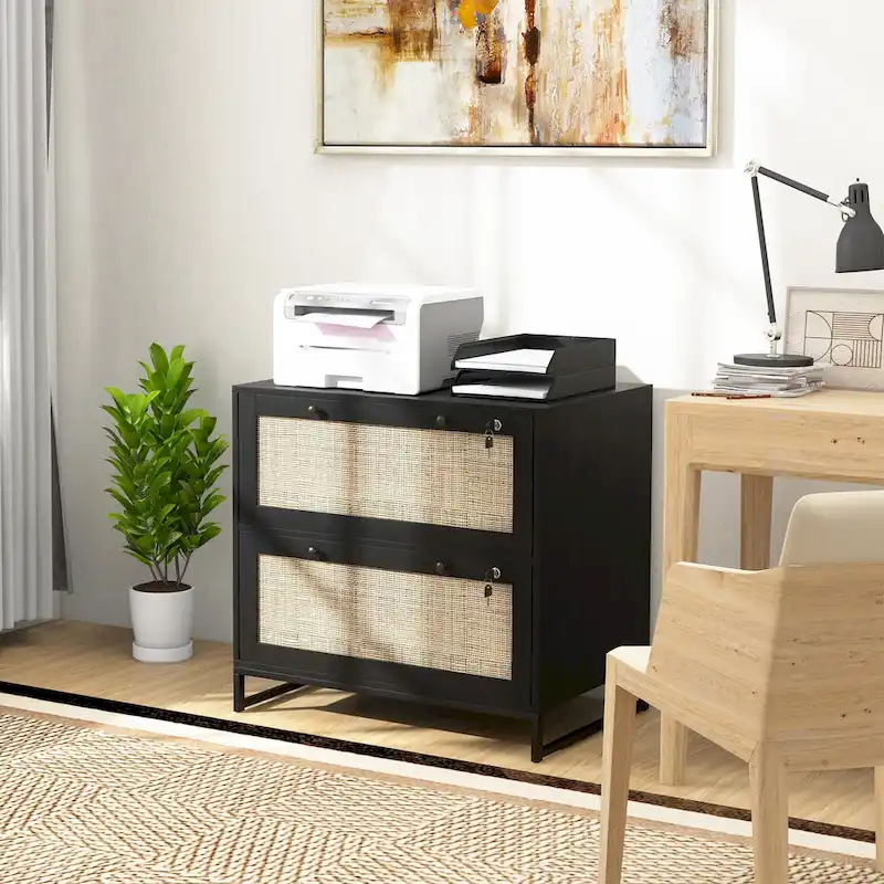 2 Drawer File Cabinet with Lock, Vertical Filing Cabinet with Keys