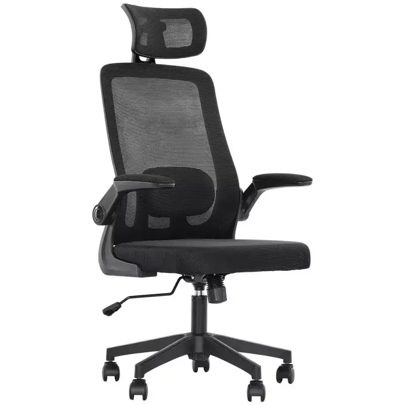 Mesh Office Chair, Ergonomic Desk Chair with Flip-up Armrest, Rotatable Headrest, Adjustable Lumbar Support