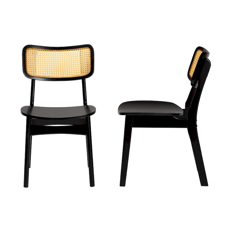 Tafari Mid-Century Modern Wood and Rattan 2-Piece Dining Chair Set